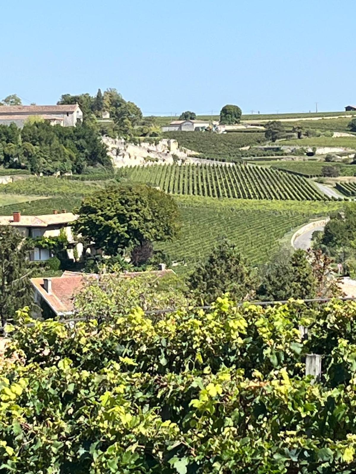 Les Logis Des Vignobles Saint Emilion En Duplex N 2 Avec Terrasse 아파트 외부 사진